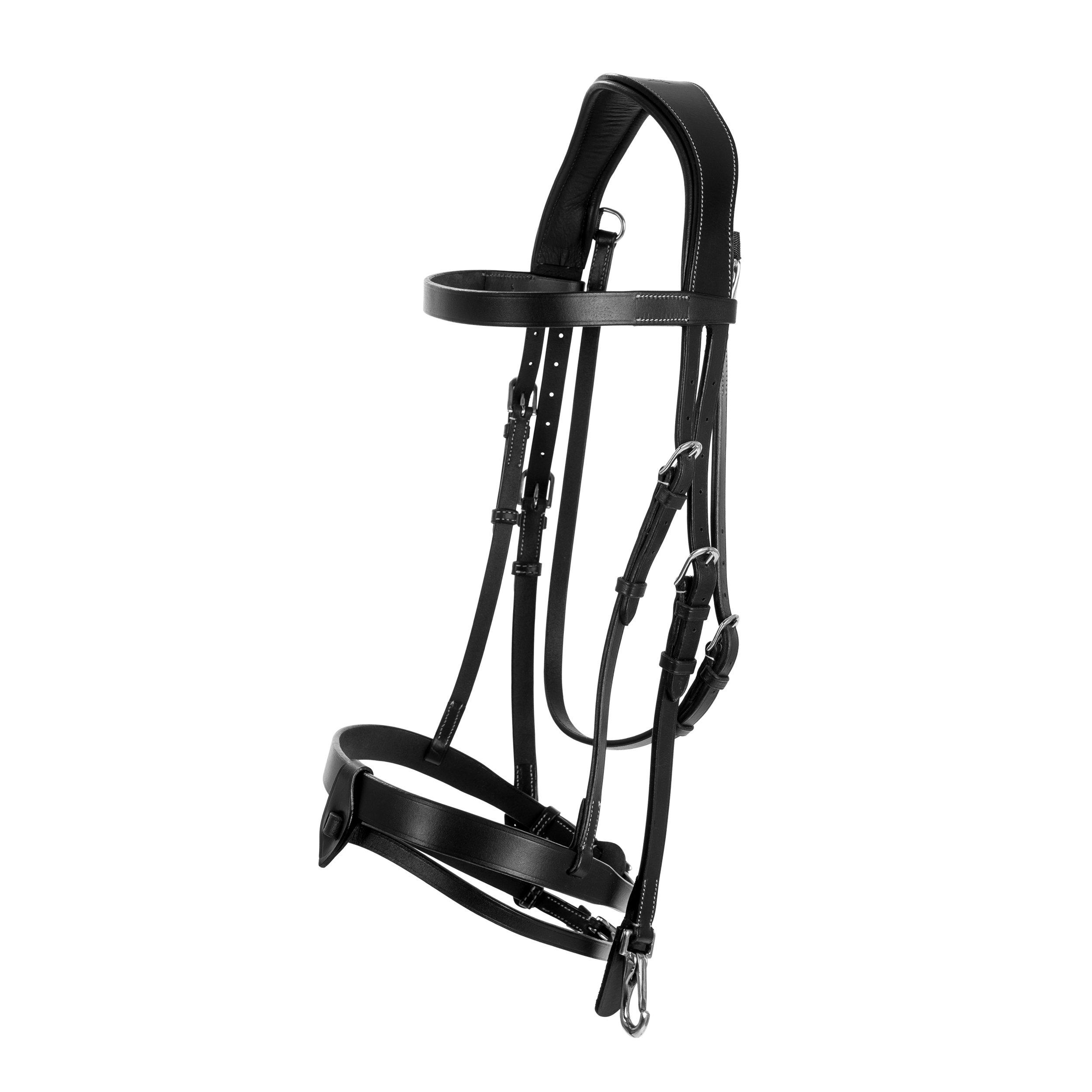 Träns Lippo Basic Trainer
