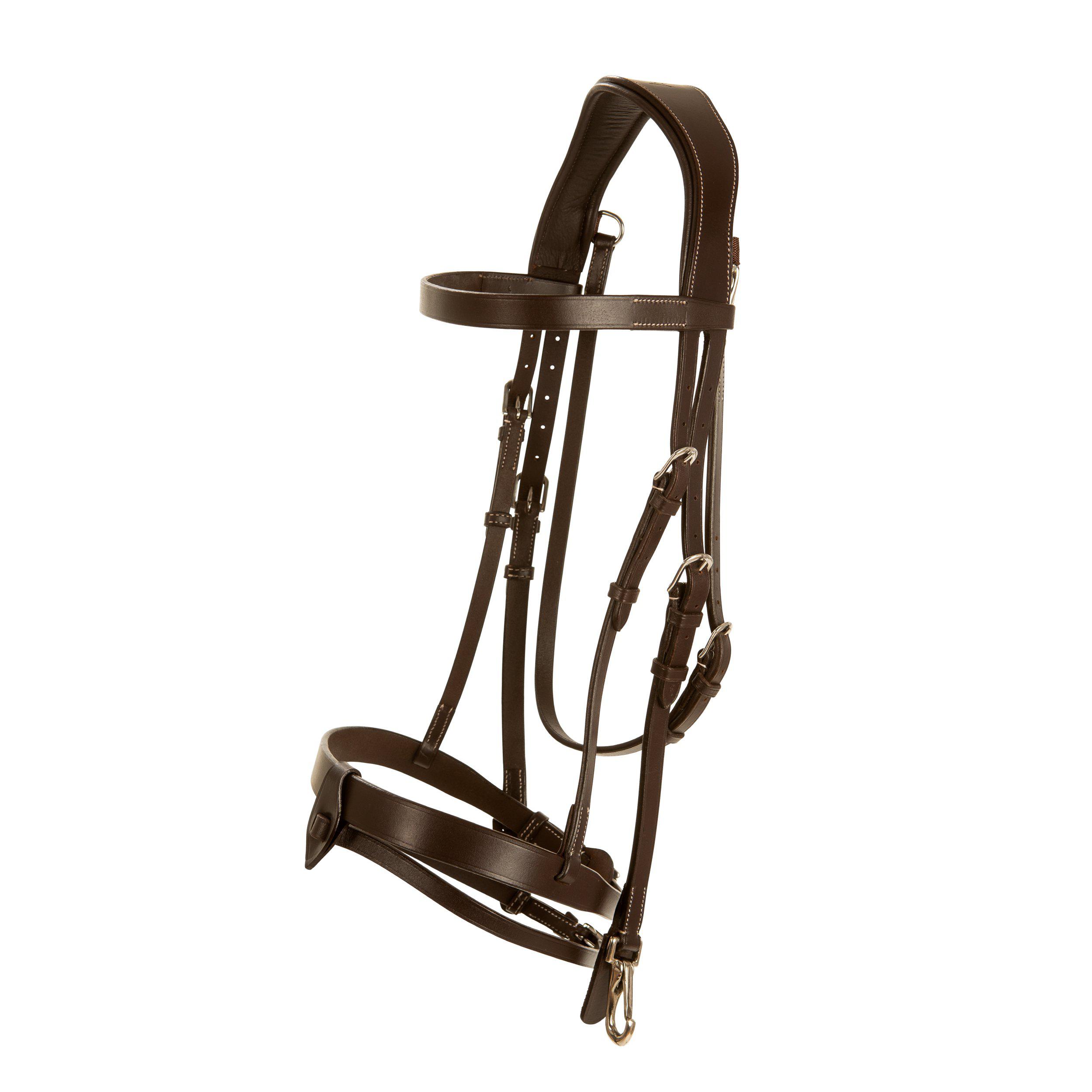 Träns Lippo Basic Trainer