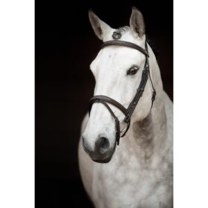 Träns Knights Sir Patric