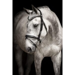 Träns Lippo Supreme Integro Grande