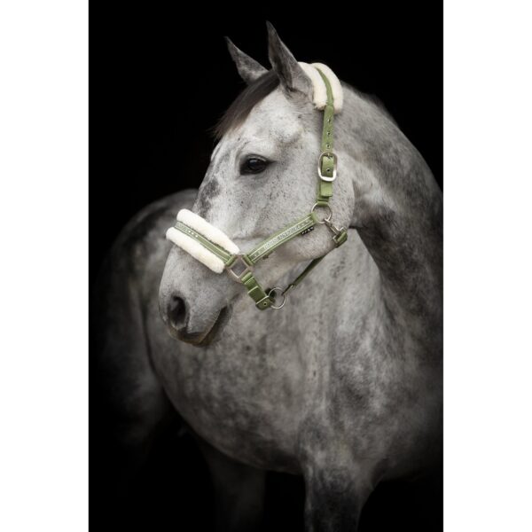 Grimma Horse Unique
