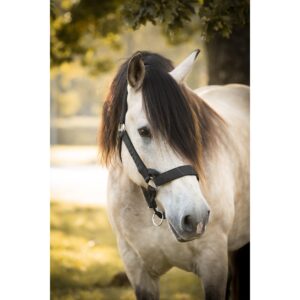 Grimma Rustik Fodrad - Nordsvensk