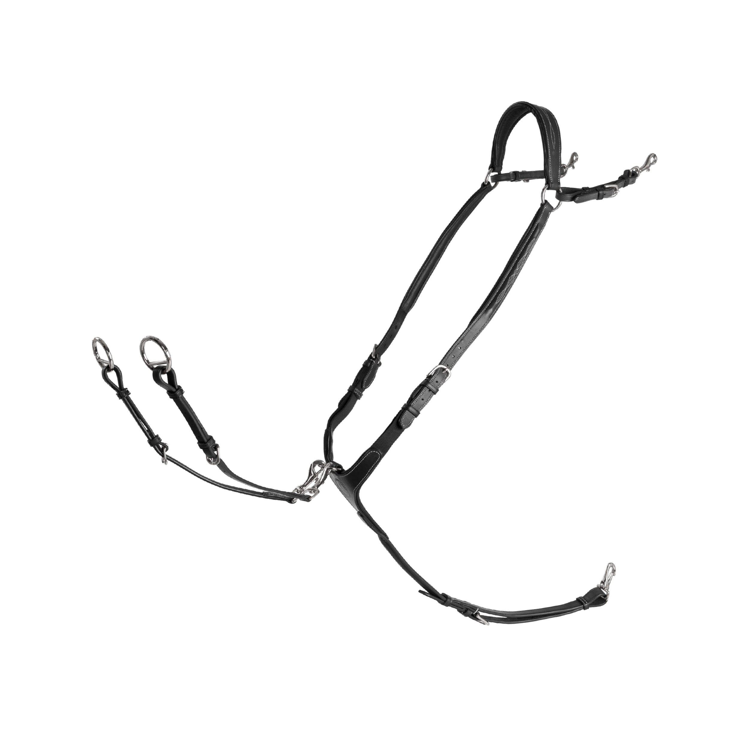 FÖRBYGEL FAZZINO MED SNAPRING MARTINGAL