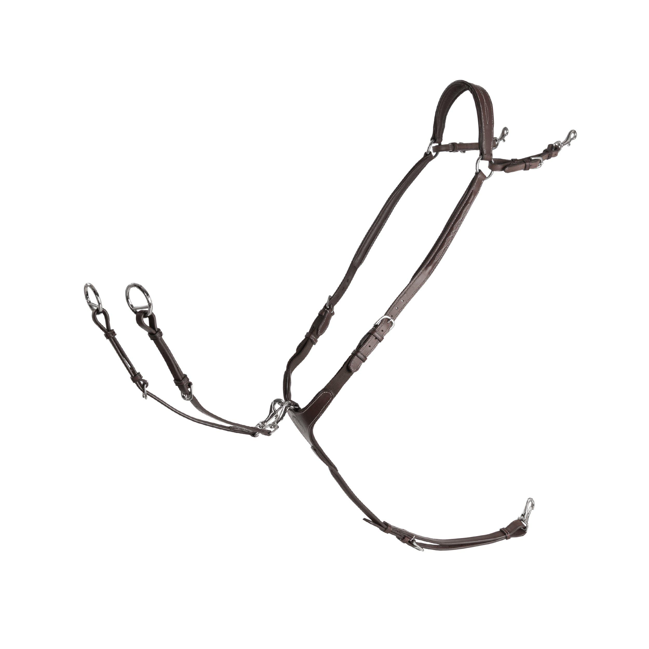 FÖRBYGEL FAZZINO MED SNAPRING MARTINGAL