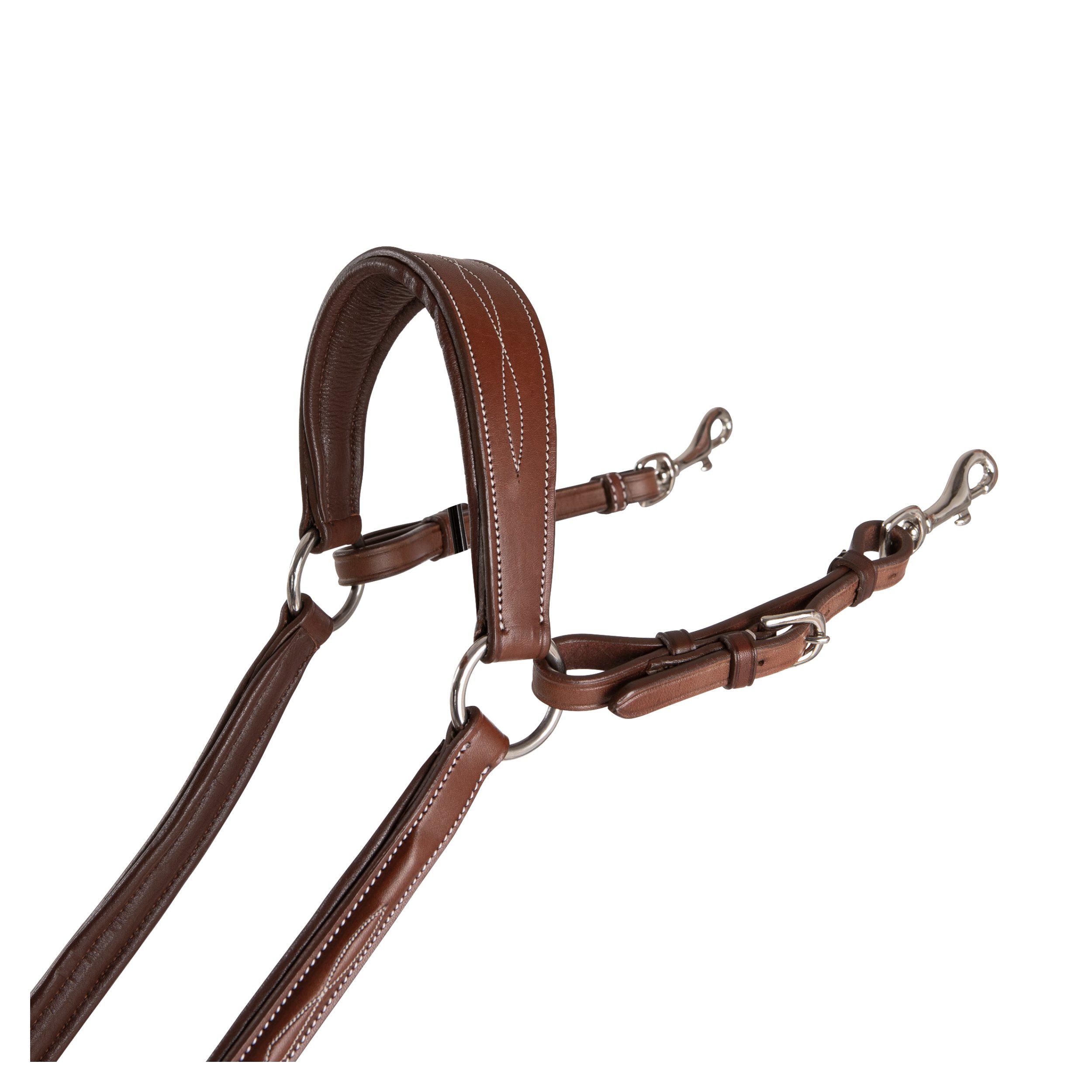 FÖRBYGEL FAZZINO MED SNAPRING MARTINGAL