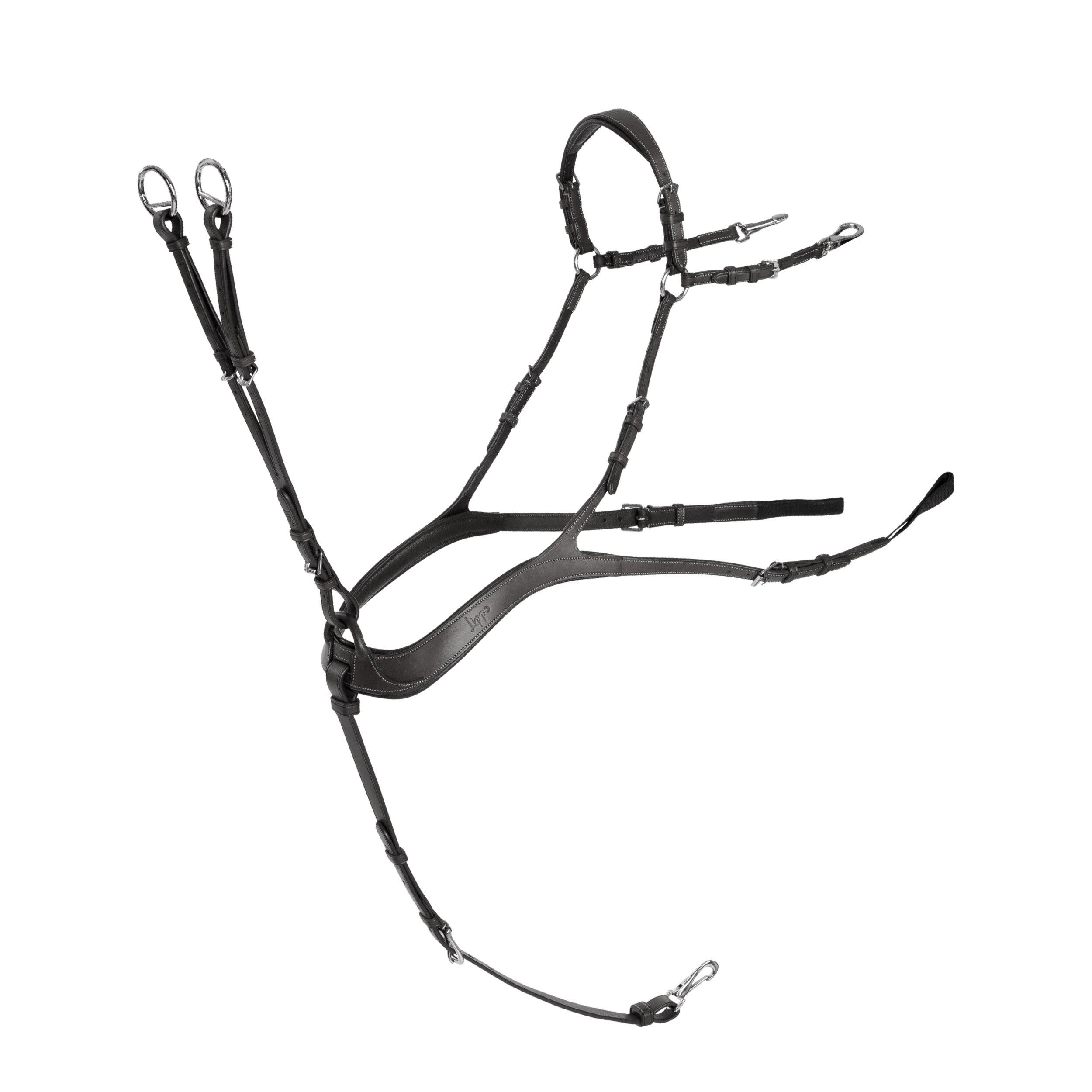 5-PUNKTS FÖRBYGEL/ BRÖSTA/MARTINGAL