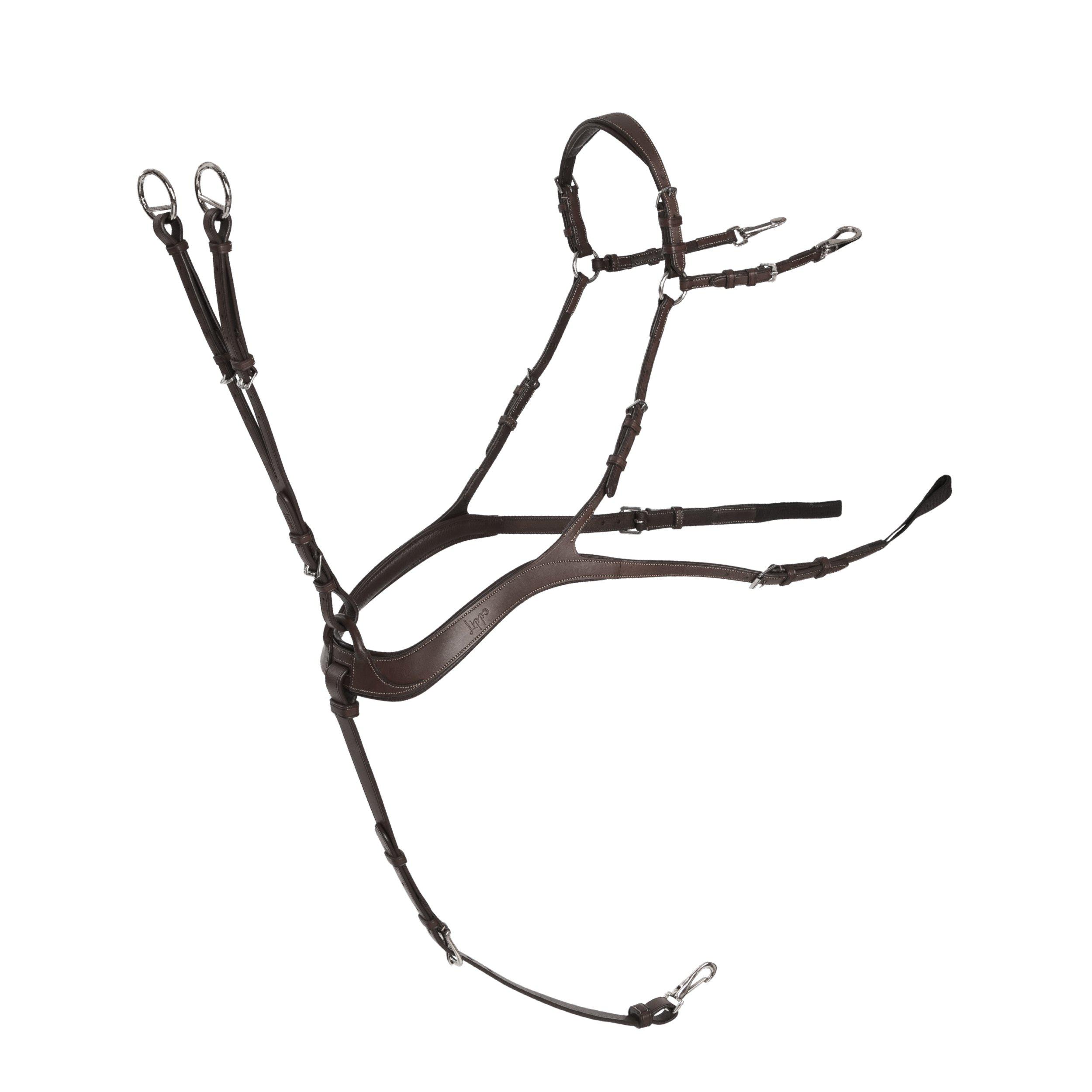 5-PUNKTS FÖRBYGEL/ BRÖSTA/MARTINGAL