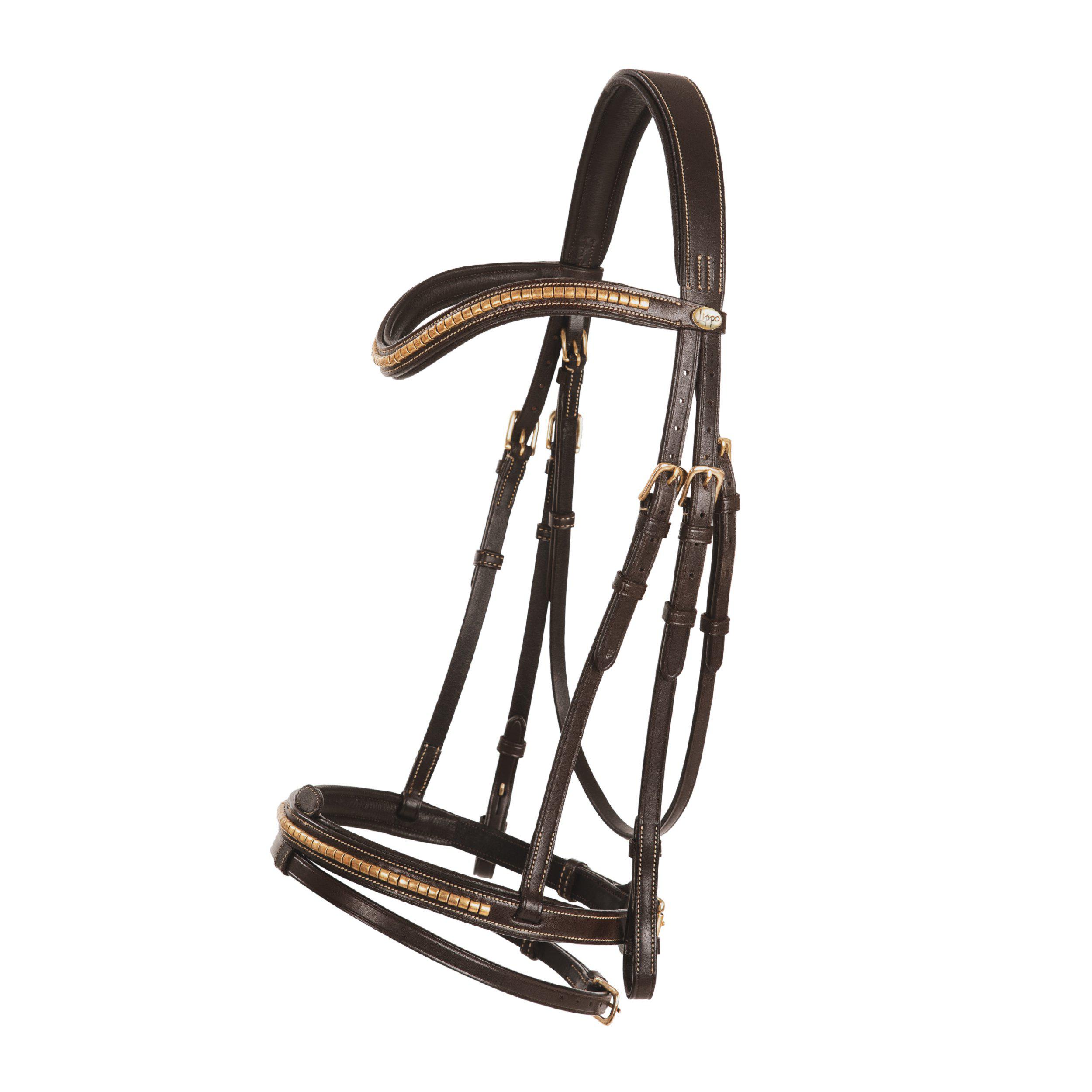 Träns Lippo Supreme Nexon