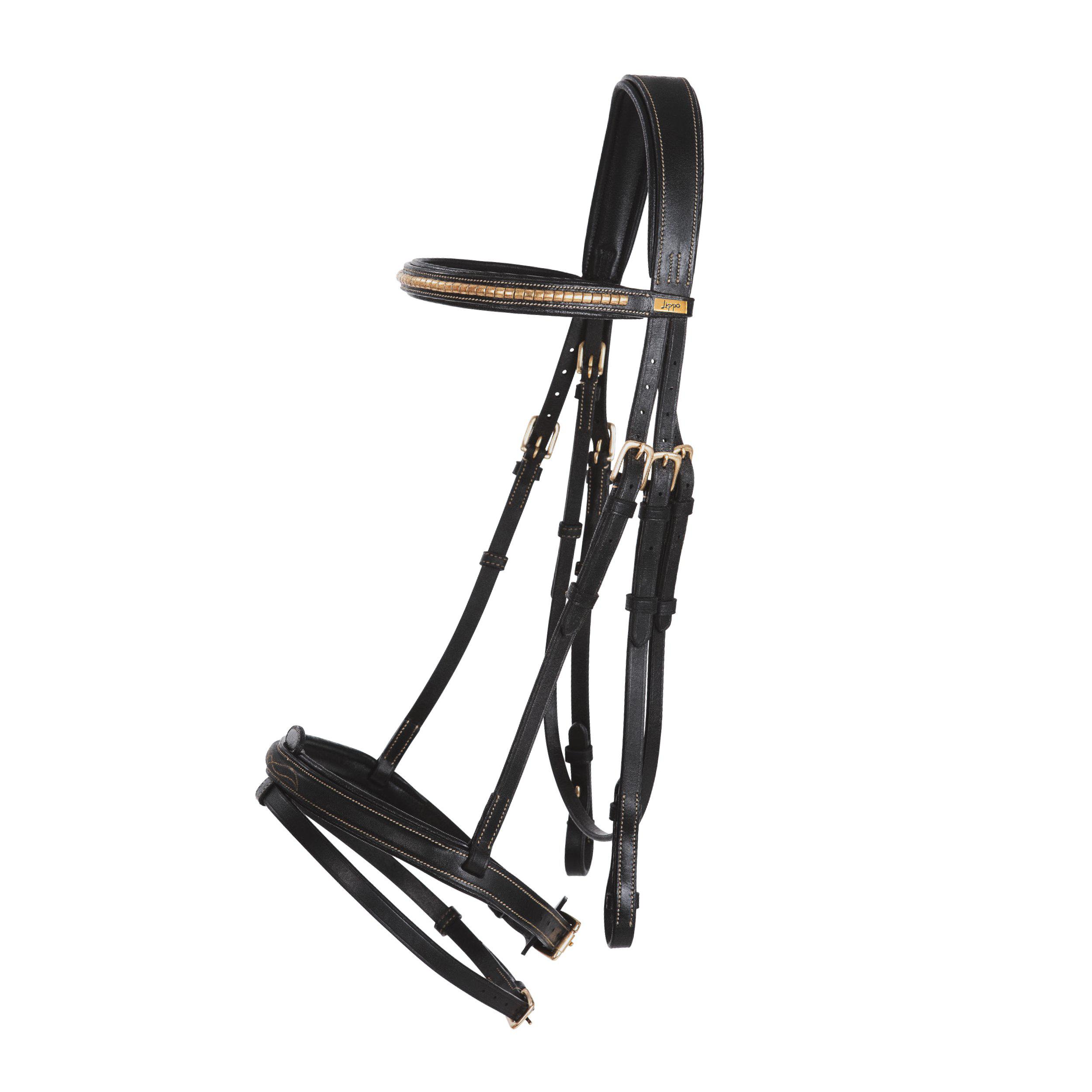 Träns Lippo Basic Preston Fancy