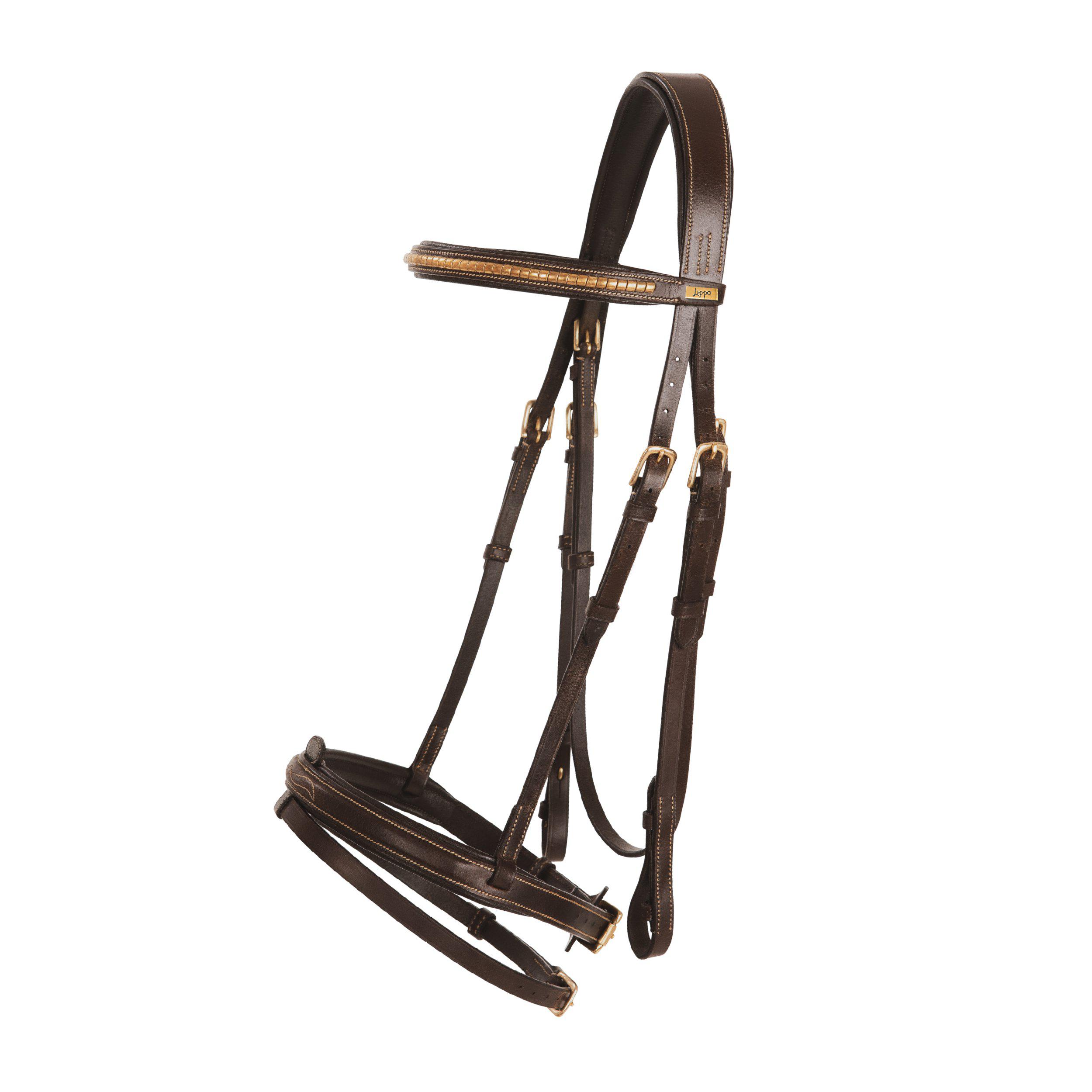 Träns Lippo Basic Preston Fancy