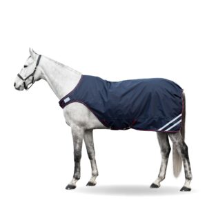 LIPPO BASIC WALKER RUG