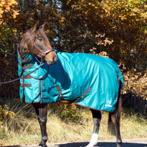 DUNSTAN UTETÄCKE 100 G