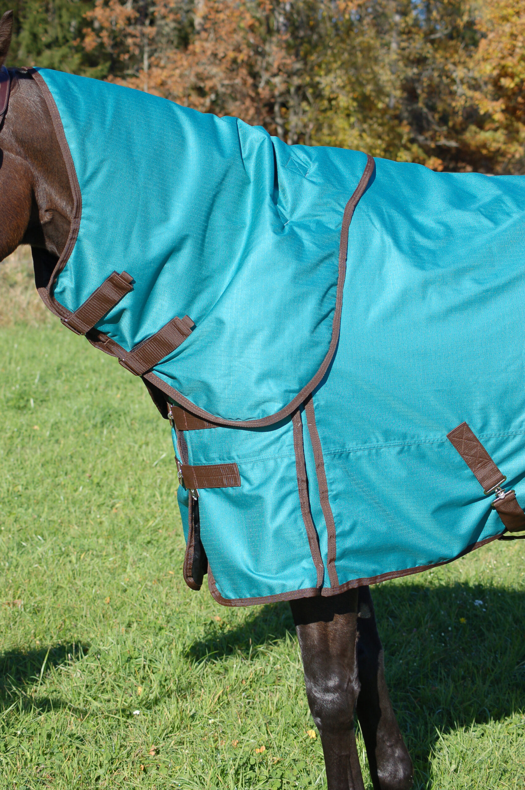 DUNSTAN UTETÄCKE 100 G