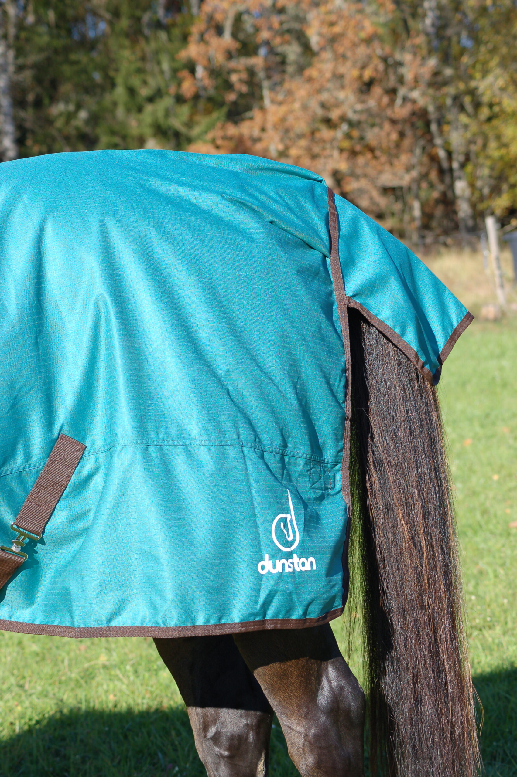 DUNSTAN UTETÄCKE 100 G