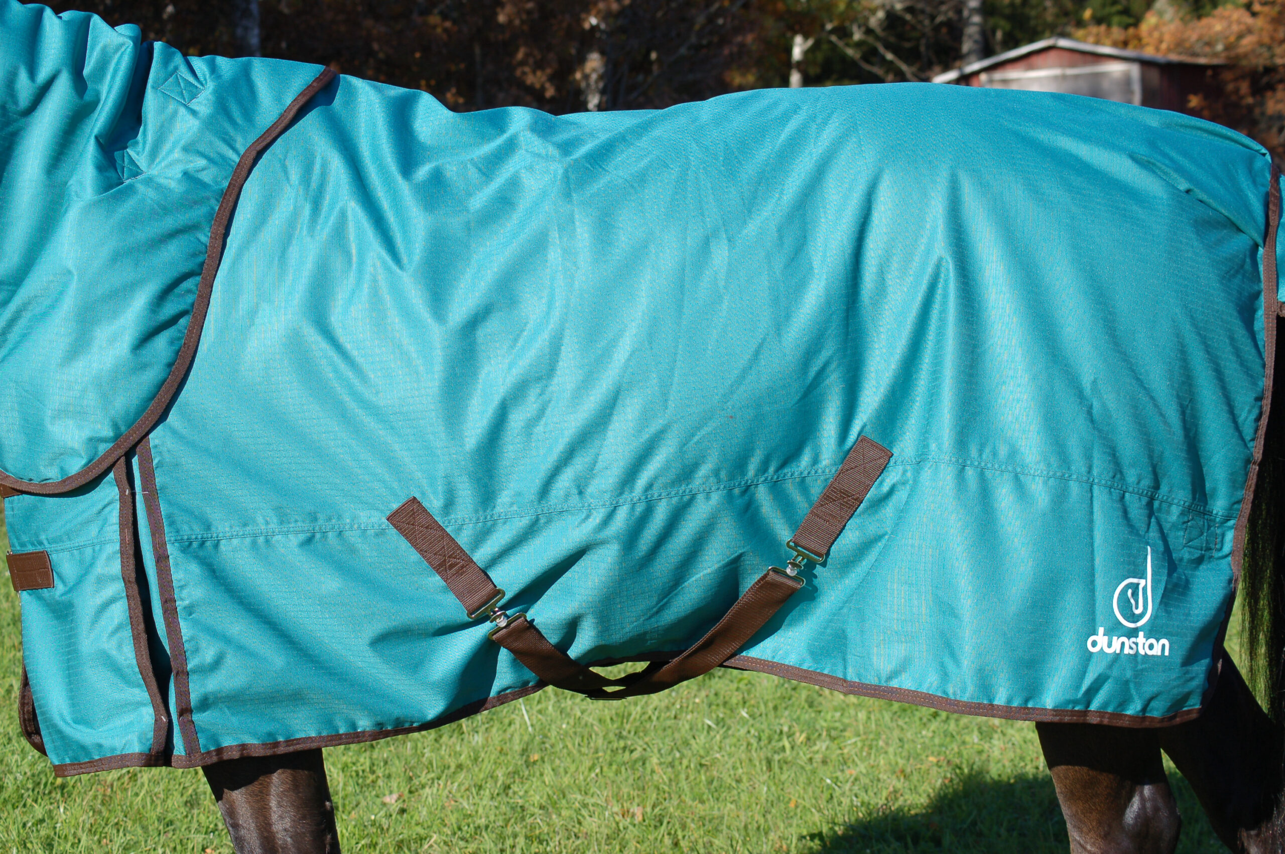 DUNSTAN UTETÄCKE 100 G