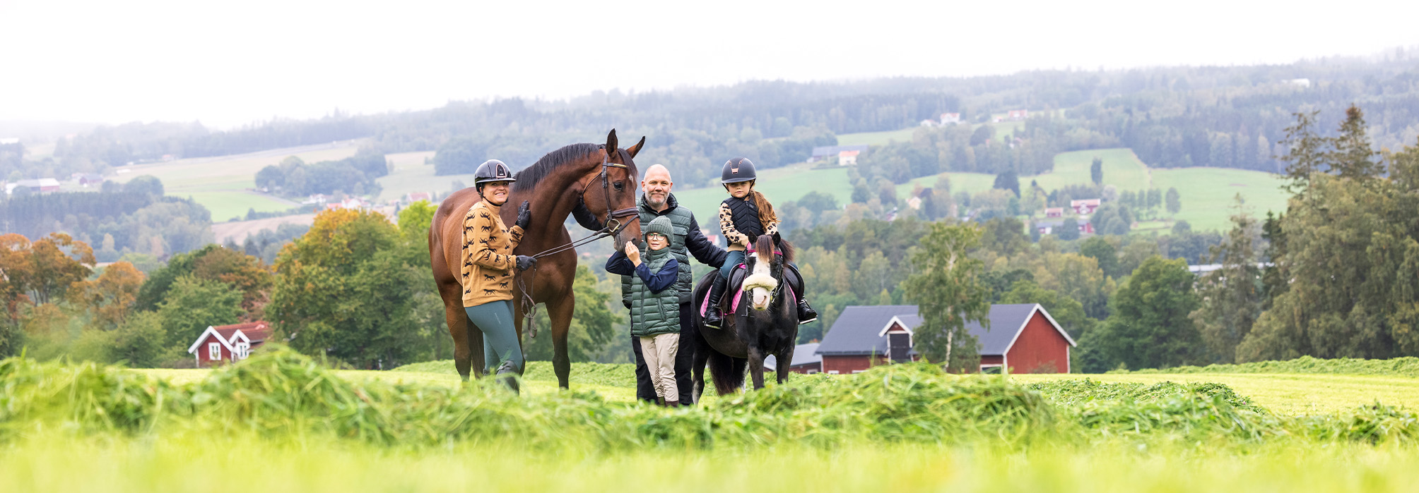Hästsparkonto med riktigt bra ränta hos Sparbanken Syd